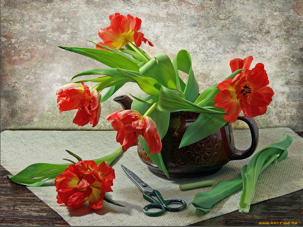 irina, kotlova, , , , , 